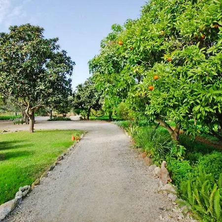 Διαμέρισμα Semi Detached Houses Amaro Goncalves Alg01393 Lya *